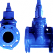 Sluice Valve